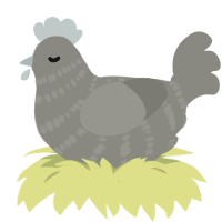 A ash chicken with a bar pattern