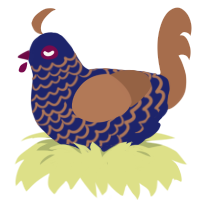 A navy and brown chicken with a lace pattern