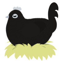 A sable chicken with a double-lace pattern