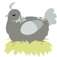 A ash and silver chicken with a neck-speckle pattern