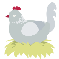 A silver and mist chicken with a neck-speckle pattern