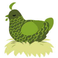 A olive and chartreuse chicken with a lace pattern