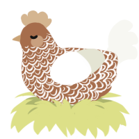 A brown and white chicken with a double-lace pattern