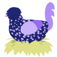 事故, a navy and lilac chicken with a speckle pattern