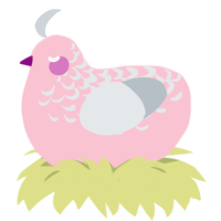 radio interference, a rose and mist chicken with a half-lace pattern