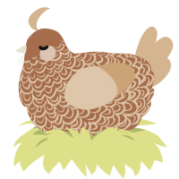 A brown and beige chicken with a double-lace pattern