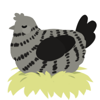 A ash and sable chicken with a bar pattern