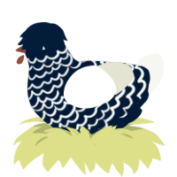 (unnamed), a tumblr and white chicken with a lace pattern