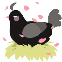 A sable and grey chicken