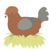 A brown and ash chicken