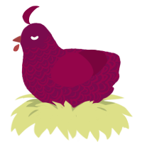 A wine and maroon chicken with a double-lace pattern