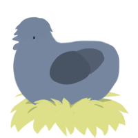 A sable and grey chicken