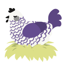 A white and overcast chicken with a lace pattern