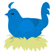 A sapphire chicken with a lace pattern