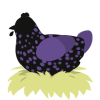 Molière the Strange, a black and overcast chicken with a speckle pattern