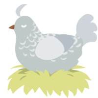 A silver and mist chicken with a half-lace pattern