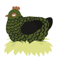 A olive and sable chicken with a lace pattern