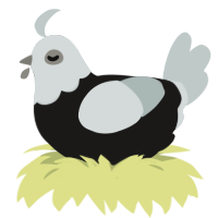 A sable and silver chicken with a head pattern