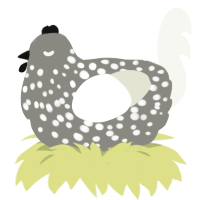 A ash and white chicken with a speckle pattern