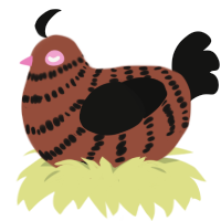 A russet and black chicken with a bar pattern
