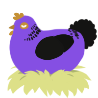 A blurple and black chicken with a neck-band pattern