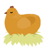 orange, a orange chicken with a neck-speckle pattern