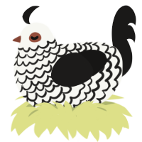 (unnamed), a white and sable chicken with a lace pattern