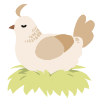 A cream and beige chicken with a neck-band pattern