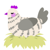 plum, a cream and ash chicken with a bar pattern