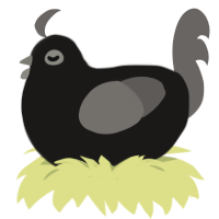 A sable and grey chicken