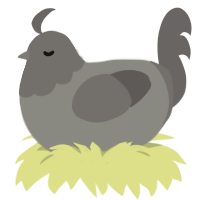 A ash and grey chicken with a head pattern