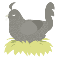 A ash chicken with a double-lace pattern