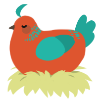 Guava, a vermilion and turquoise chicken with a neck-band pattern