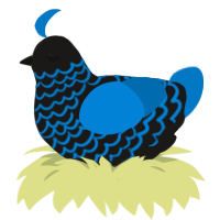 A sable and sapphire chicken with a lace pattern