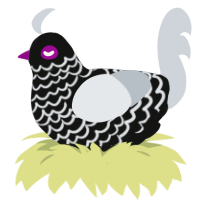 Cameron, a black and mist chicken with a lace pattern