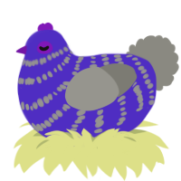 A indigo and ash chicken with a bar pattern