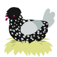 wired, a black and silver chicken with a speckle pattern