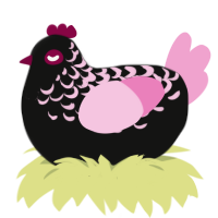 Zeezee, a black and pink chicken with a half-lace pattern