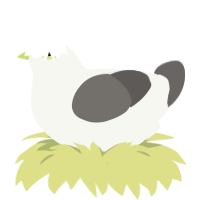 A white and grey chicken