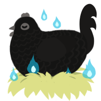 A black and sable chicken with a lace pattern
