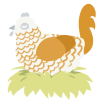 (unnamed), a white and orange chicken with a lace pattern