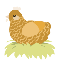(unnamed), a gold and honey chicken with a lace pattern