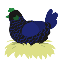(unnamed), a sable and navy chicken with a lace pattern
