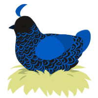 (unnamed), a sable and ultramarine chicken with a double-lace pattern