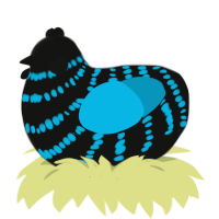 A black and cerulean chicken with a bar pattern