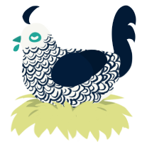 A white and tumblr chicken with a double-lace pattern