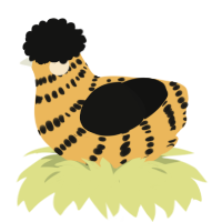 A honey and black chicken with a bar pattern