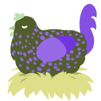 A olive and blurple chicken with a speckle pattern