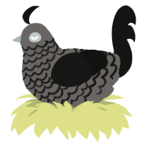 ina, a grey and black chicken with a lace pattern