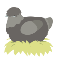 (unnamed), a grey and ash chicken with a head pattern
